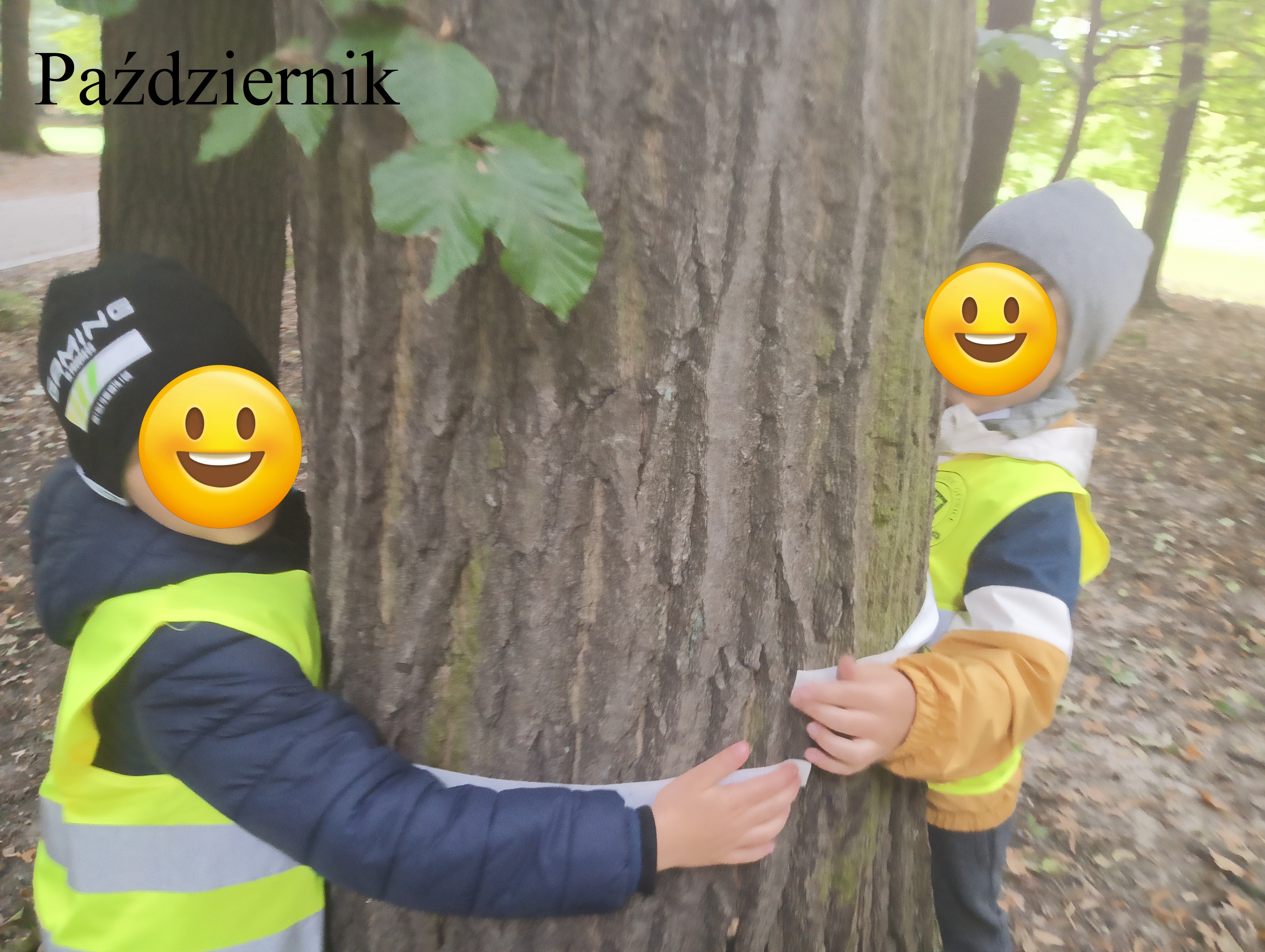 kreatywna matematyka